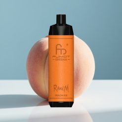 RandM Fumot Shisha 10000 Puffs LED Indicator Type-C Port Праскова Лед