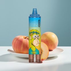 RandM Fumot Tornado 15000 Puffs 25ml 850mAh Mesh Coil Type-C Праскова Манго