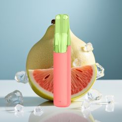 Snowplus Dash 4000 Пуфа Керамичен Атомайзер 7.5 мл Свеж Лед