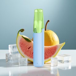 Snowplus Dash 4000 Пуфове Устройство с Еднократна Употреба Ludou Лед и Керамичен Атомайзер