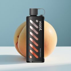 VOZOL Gear Shisha 25000 Puffs Dual Mesh Dual Modes Mango Peach 5mg/ml