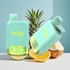 Vapsolo Twins 20000 Puffs 40ml Две Танка Тройна Пъпеш & Ананас Кокос Type-C