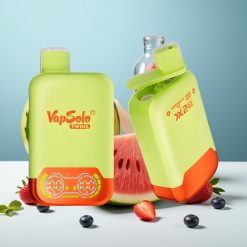 Vapsolo Twins 20000 Puffs Двуделна Едноразова Вейп Прах с Диня Лед и Смесени Горски Плодове